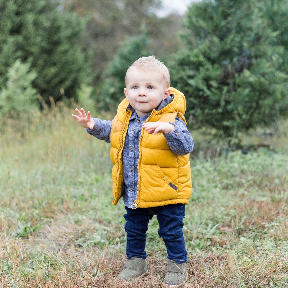 Zara Quilted Vest